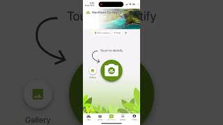 PlantNet app  how to use [upl. by Anitsuga]