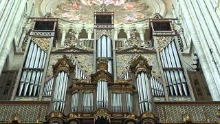 Pipe Organs  Magnificent Instruments [upl. by Onairotciv]