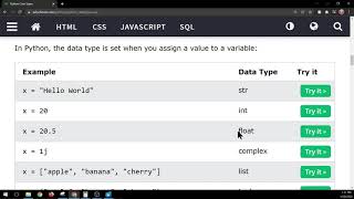 W3schools Python Data Types  Part 1 [upl. by Ennovoj831]