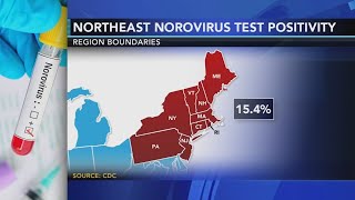 Contagious stomach bug circulating in the Northeast  Know the symptoms [upl. by Nyleuqaj]