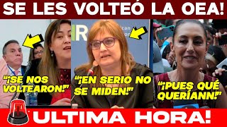 🚨MARTES NEGRO ACABA DE PASAR EN OEA SE LES VOLTEAN A JUECES FRACASO ÉPICO DE LAYNEZ SE LES DIJO [upl. by Benis504]