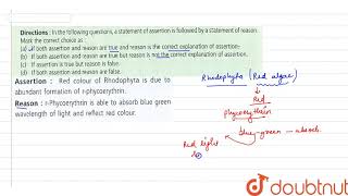 Assertion Red colour of rhodophyta is due to abundant formation of rphycoerythrin [upl. by Lorimer]