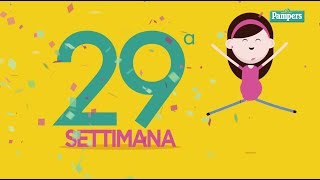 29° settimana di gravidanza [upl. by Four]