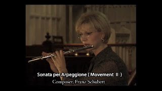 3 quotSonata per Arpeggione Movement II amp IIIquot [upl. by London618]