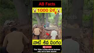 😲1000 ఏళ్ళ😲 1000 years old Siva lingam found in jungle telugufacts shorts youtubeshorts abfacts [upl. by Reiners883]