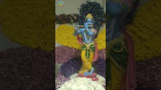 Achyutam Keshavam Krishna Damodaram Ram Narayanam Jaanaki Vallabham song GodKrishnaViraltrending [upl. by Toddie313]