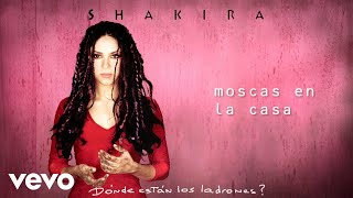 Shakira  Moscas en la Casa Letra Lyrics [upl. by Adahsar]