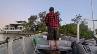 Quick fish in Nerang river Gold Coast [upl. by Yeldar]