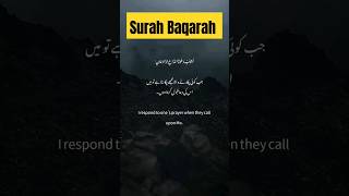 Surah Baqarah verse  186 Urdu Translationquotviralvideo surahbaqarah youtubeshorts viral surah [upl. by Callida]