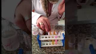 Enzymes Experiment Amylase Iipase Pepsin and Trypsin [upl. by Eirek33]