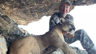 AZ Mule Deer Hunt Quickly Turns into a MOUNTAIN LION HUNT [upl. by Cordi]