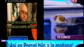 Broma a Porcel JR Bendita TV  Parte 1 [upl. by Wanyen]