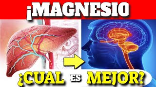 LOS MEJORES TIPOS de MAGNESIO que EXISTEN Suplementos de Magnesio [upl. by Ivan]