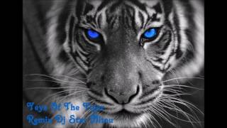 Eye Of The Tiger Remixed By Dj Star Nitou 2016 [upl. by Rodriguez937]