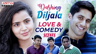 Dashing Diljala Movie Love amp Comedy Scenes  Naga Chaitanya Shruti Haasan  Anupama  Aditya Movies [upl. by Thurnau]