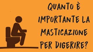 Quanto è importante la masticazione per digerire [upl. by Penni739]