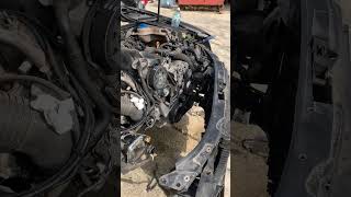 19 tdi after timing belt replacement TDI power tdi turbodiesel startupdieselengine [upl. by Johannah635]