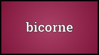 Bicorne Meaning [upl. by Benildas806]