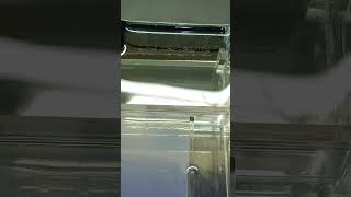 Agarose Gel Electrophoresis [upl. by Ylrebmic]