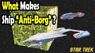 What makes a Starfleet Ship quotAntiBorgquot  Star Trek [upl. by Anana]