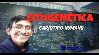 CITOGENÉTICA  CARIOTIPO HUMANO [upl. by Sudaorb]