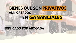 BIENES QUE SON PRIVATIVOS EN GANANCIALES explicado por una abogada [upl. by Pasco]