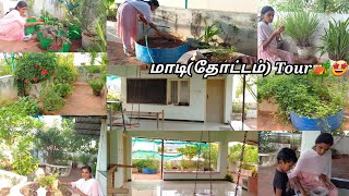 🏕🌴மொட்ட மாடியில் ஒரு கிராமத்து மண் வாசனை🥰💚🌴🏕 Madithottam tourInnovative home tourtourgarden [upl. by Annamaria]