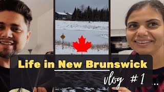 Vlog 1  Life in New Brunswick  Canada  Hindi Vlog  Canadian Desire [upl. by Ennagrom]