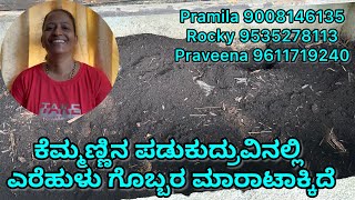 ಕೆಮ್ಮಣ್ಣಿನ ಪಡುಕುದ್ರುವಿನಲ್ಲಿ ಎರೆಹುಳು ಗೊಬ್ಬರ ಮಾರಾಟಾಕ್ಕಿದೆpraveenafernandes [upl. by Lindeberg903]