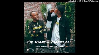 Tse nyane full track Mamelodi Bacardi Amapiano [upl. by Ylremik]