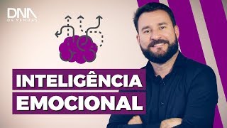 Inteligência Emocional em Vendas O que é e como alcançála [upl. by Alithia]