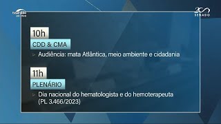 Agenda Comissão de senadores fará diligência no Rio Grande do Sul [upl. by Lebasiram]