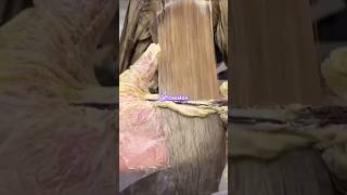 without cutdown hair color 40vol k sath ash golden color faizasalon weddinghairstyle beauty [upl. by Adriano]