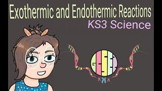 Science KS3  Endothermic and Exothermic Reactions [upl. by Enaillil]