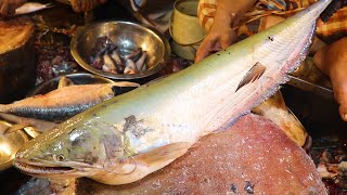 Wallago Attu Boal Fish Cutting Skills  Amazing Fish Cutting Video [upl. by Topper]