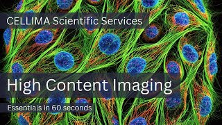 HighContent Imaging Essentials in 60 Seconds [upl. by Raymond]