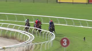 Heat 21 Doomben Jumpouts 2604 [upl. by Dzoba557]