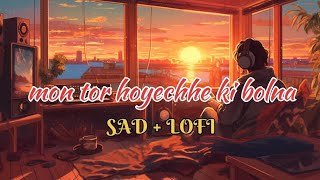 mon tor hoyeche ki bolna মন তোর হয়েছে কি বলনা।lofi song virallofisong sadlofi Songi studio [upl. by Raseda]