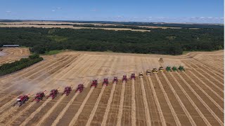 Canadian Foodgrains Bank Winter Wheat Harvest 2016 18 Combines Killarney Manitoba [upl. by Constantia]