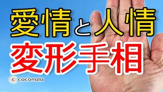 【手相】両手の変形ますかけ線が提示することとは？【手相鑑定 27】ココナラcoconala [upl. by Htelimay686]