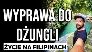 Wyprawa do dżungli  Przyroda na Filipinach [upl. by Rosenstein188]