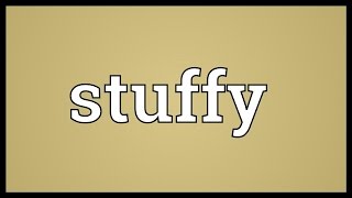 Stuffy Meaning [upl. by Nicolau249]