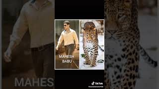 Allu Arjun  Ram Charan  Parvas  Mahesh Babu  Ram Pothineni  tik tok video 2021 [upl. by Joanie322]