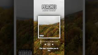 Lyrics Video of quot Peaches by Justin Bieber quot justinbieber peaches lyricsvideo lyrics music [upl. by Bengt]