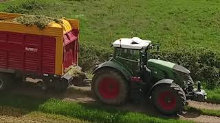 RAMASSAGE DHERBE 2018  Fendt Schuitemaker [upl. by Ardnuahc821]