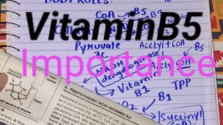 Vitamin B5pantothenic acid Importance in cellular respiration Use in skincare industry [upl. by Ettelrahc]