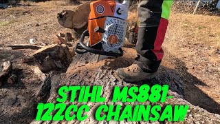 Brand new Stihl 881 lets break it in [upl. by Foah]