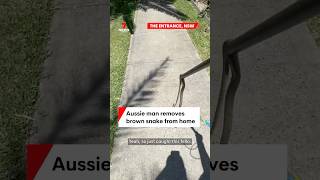 NSW man removes brown snake from home [upl. by Colvin]