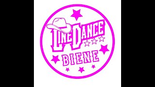 I Got A Woman Lernvideo Teach amp Dance Line Dance BieneTeil 2 [upl. by Ettevad882]