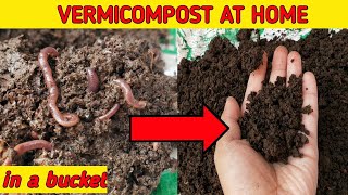 HOW TO MAKE VERMICOMPOST AT HOME  Make Enriched Vermicompost at Home And Use In Your Plants [upl. by Arola]